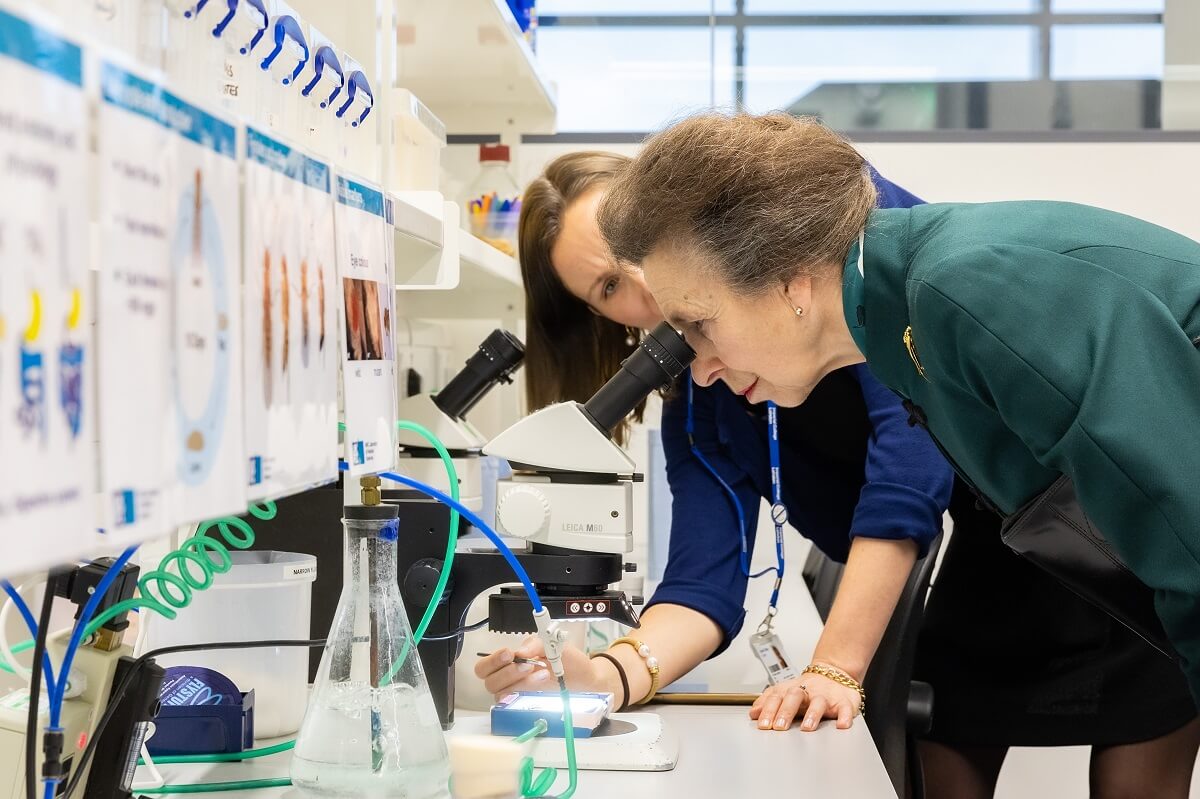 Princess Anne (front) looking at fruit flies with post doctoral researcher Claudia Lennicke (back)