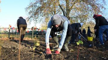 The investment will help fund greening projects including new Tiny Forests