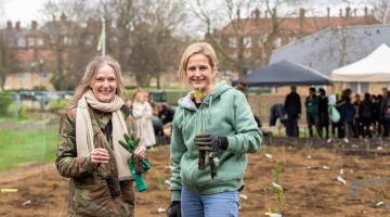 Volunteers planting a Tiny Forest in Frank Banfield park