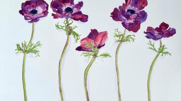 Anemones by Kate Fishenden will be shown as part of the Askew Gallery's inaugural show, For The Love of Flowers