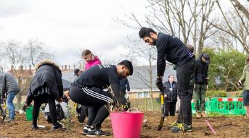 Volunteers at the Tiny Forest planting in Frank Banfield Park, Hammersmith