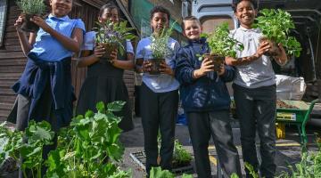 Old Oak primary students greening their new 'natural drainage' planters