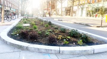New rain garden in King Street