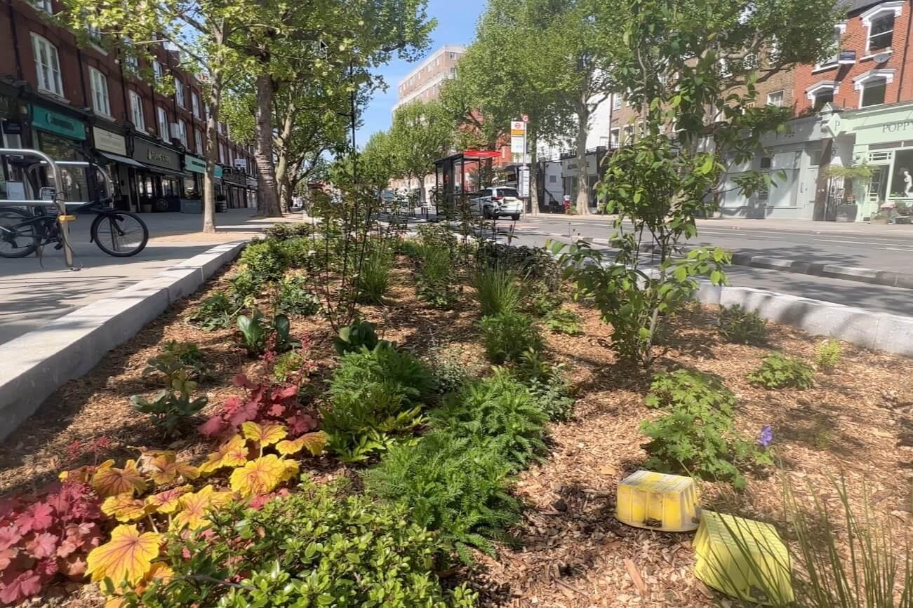 Rain gardens in King Street, Hammersmith