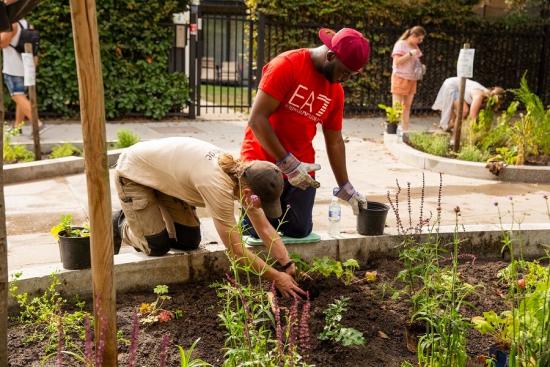 Residents volunteered to help us plant a new sensory garden in Starch Green, Shepherds Bush.