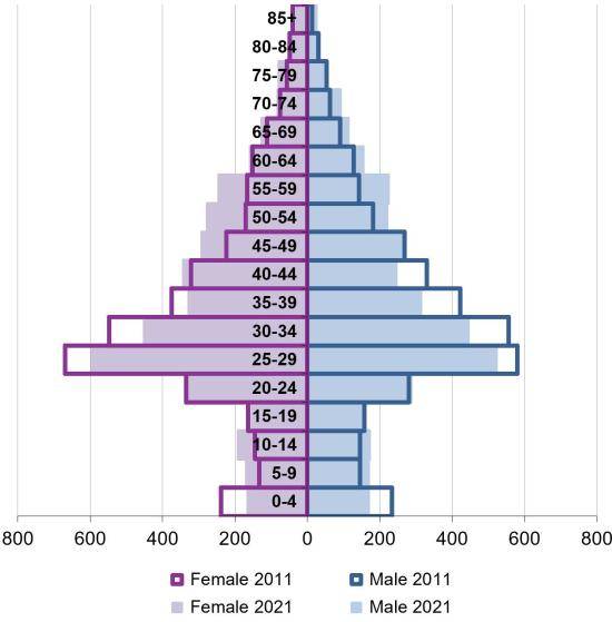 Ward population pyramid by gender and age comparing 2011 and 2021
