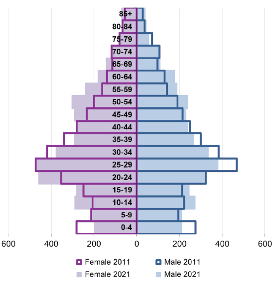 Ward population pyramid by gender and age comparing 2011 and 2021.