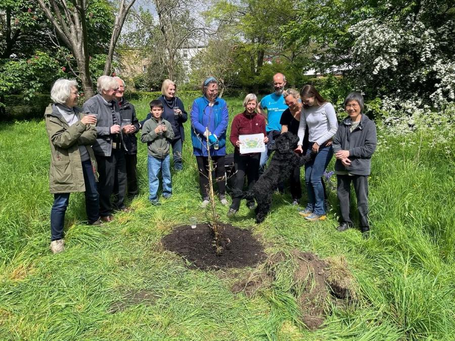 The Friends of Margravine Cemetery planted a copper beech to commemorate the Coronation of King Charles III