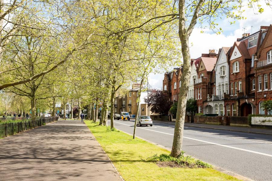 Green verges along New Kings Road, Fulham