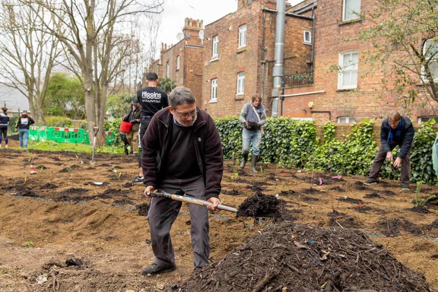 Cllr Harcourt joins volunteers to plant the Tiny Forest