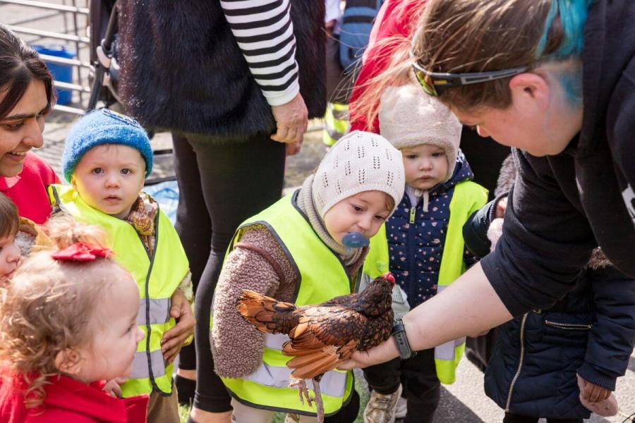 Children met some animals for the first time