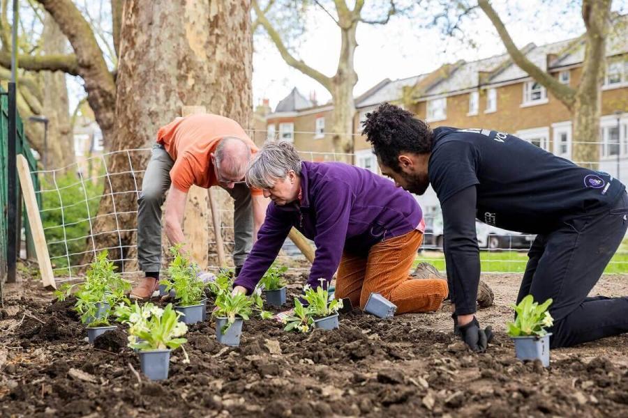 Three adults planting flowers in a park.