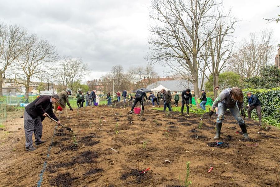 A large group of people plant trees in Frank Banfield Park.