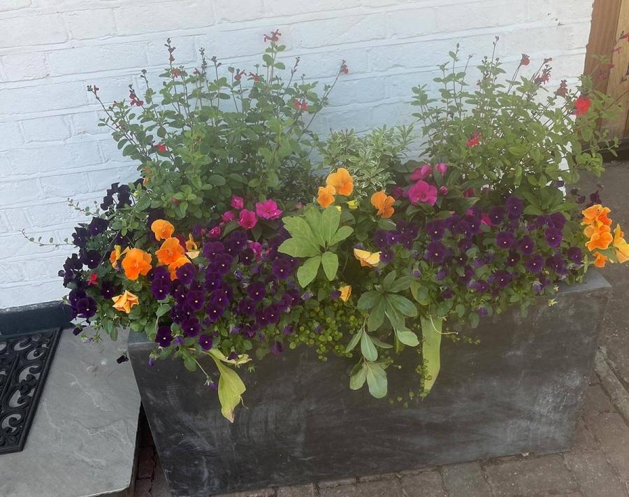 Garden trough planters are eligible for the competition