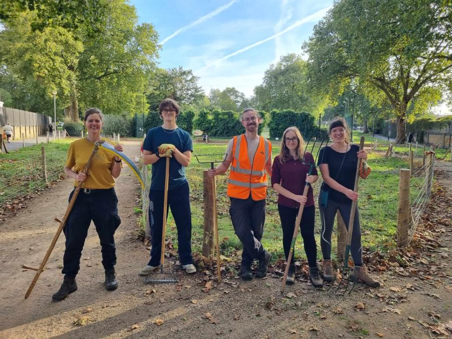 Community scything in Eelbrook Common