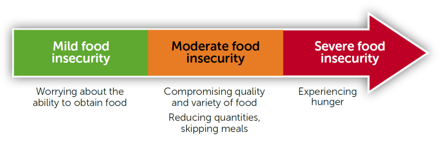 A diagram showing an arrow pointing to the right with thext describing the level of food insecurity.
