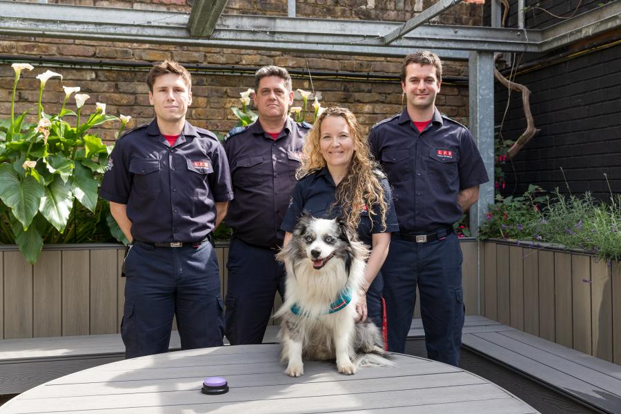 Blue the LFB wellbeing dog with Lucy MacLeod, Hammersmith & Fulham Borough Commander (2nd from right) and firefighters at Hammersmith Fire Station
