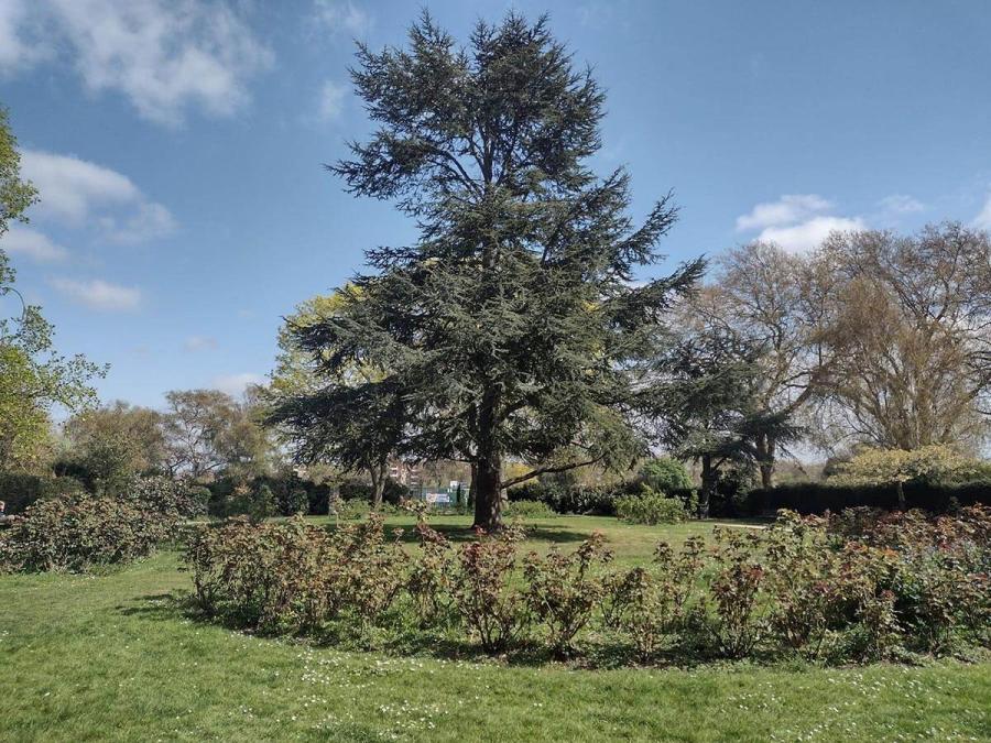 Hurlingham Park, SW6