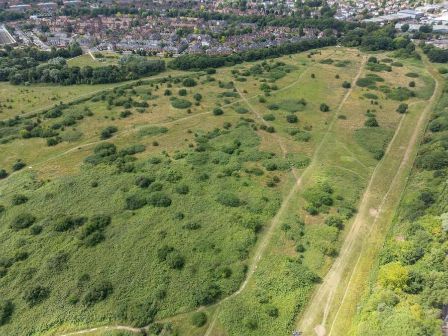 Wormwood Scrubs meadow is the UK’s newest Local Nature Reserve