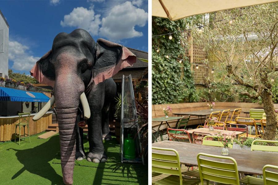 The Elephant and Barrel's life size animatronic elephant (left) and the garden at The Carpenter's Arms (right)
